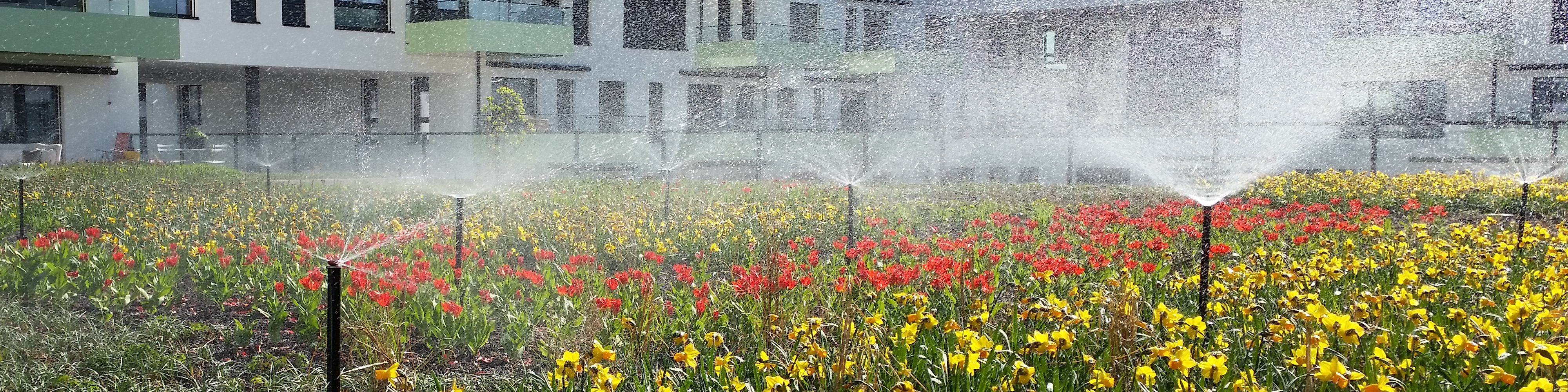 1 Slider Koran AG Bewässerung