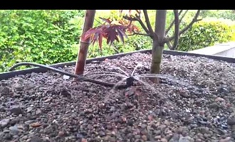 Bewässerung Shrubbler 360° Mini-Sprühdüse